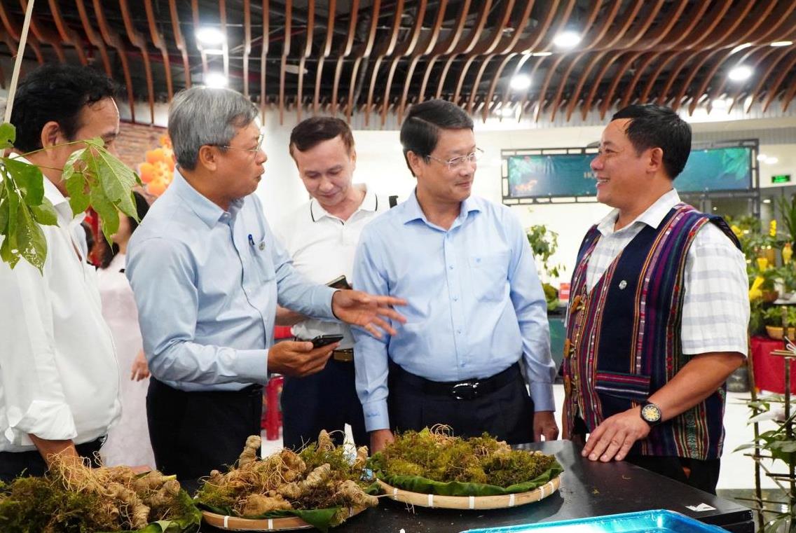 Nhiều hoạt động phong phú tại Lễ hội Sâm Ngọc Linh và Dược liệu quốc tế Đà Nẵng 2026