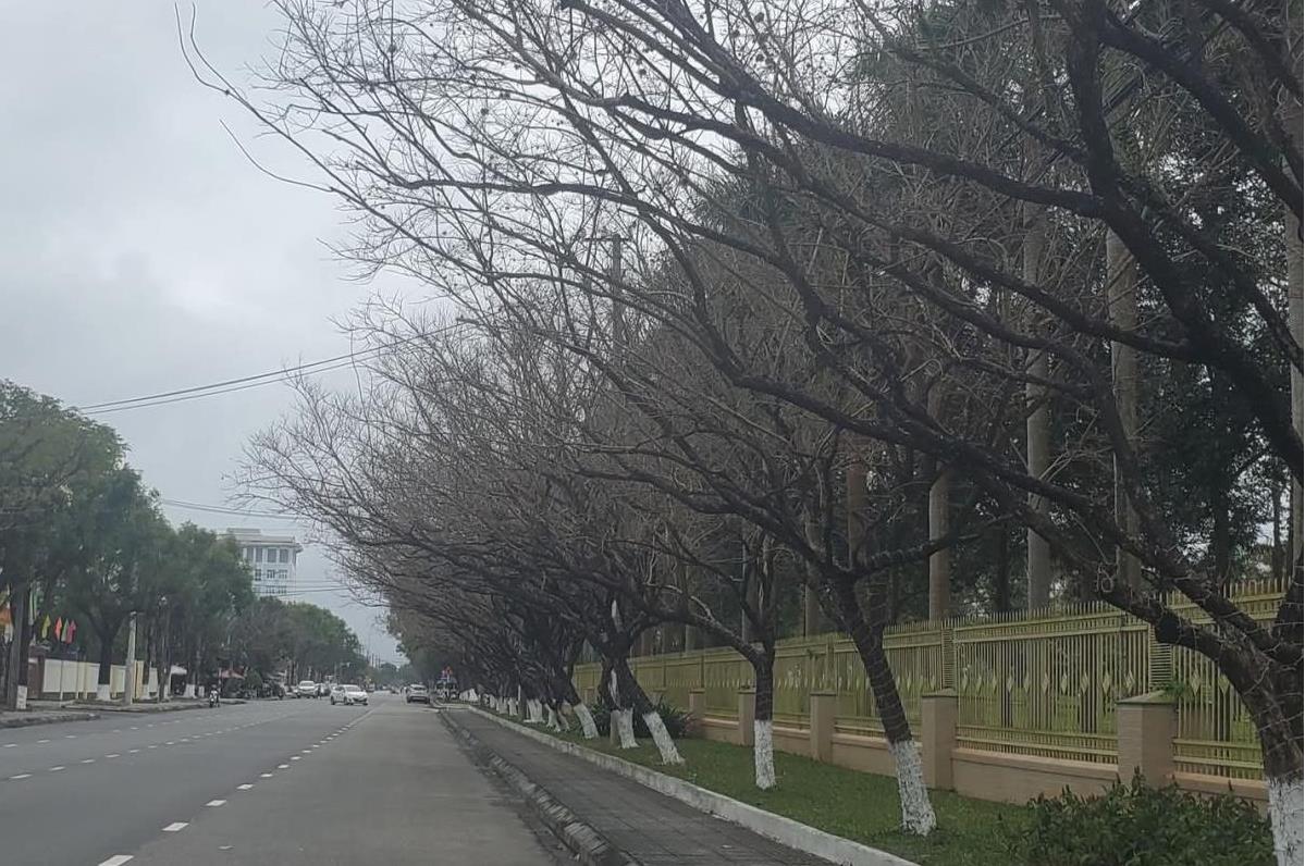 Về theo tháng Chạp…