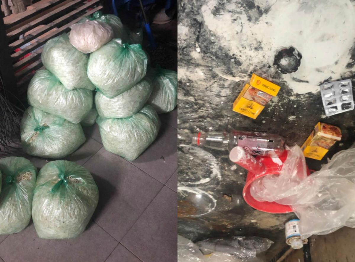 Giá đỗ thành phẩm tại một cơ sở có dùng hóa chất kích thích tăng trưởng.