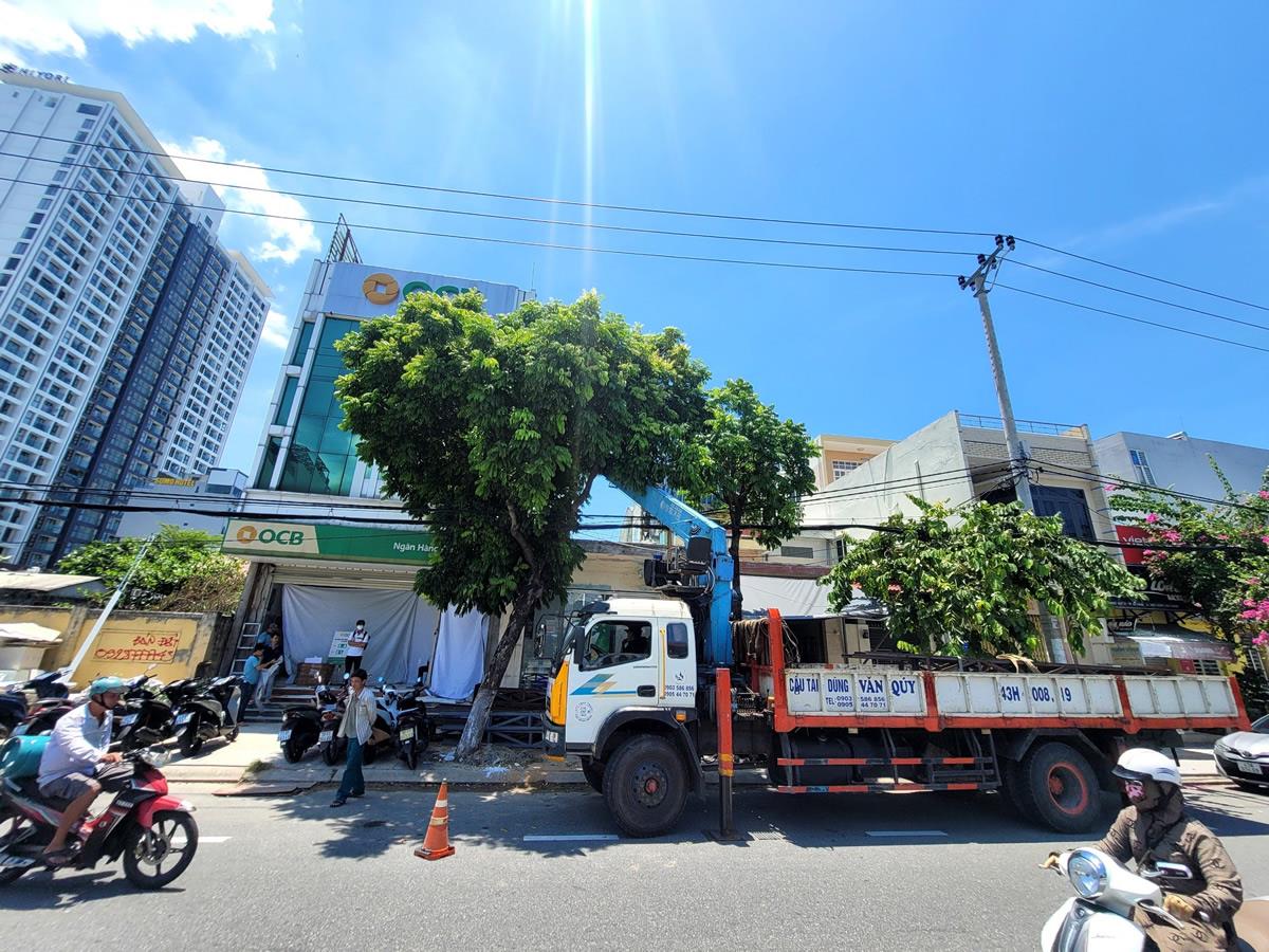 Hiện trường vụ vi phạm được phát hiện, xử lý kịp thời.