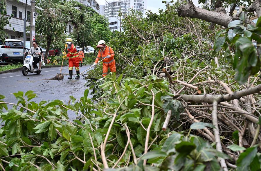 Công nhân dọn dẹp cây cối ngã đổ ở TP Hải Khẩu, Hải Nam, Trung Quốc, ngày 7-9. Ảnh: THX