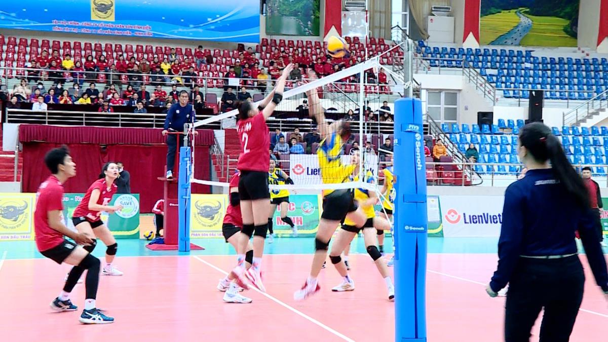 Cúp Bóng chuyền Hoa Lư 2025 được tổ chức hàng năm.