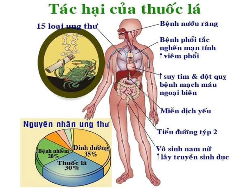 Hút thuốc lá sẽ gây ra nhiều bệnh.