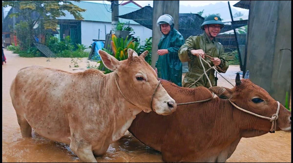 Công an xã A Vương giúp nhân dân di dời tài sản tại khu vực ngập lụt