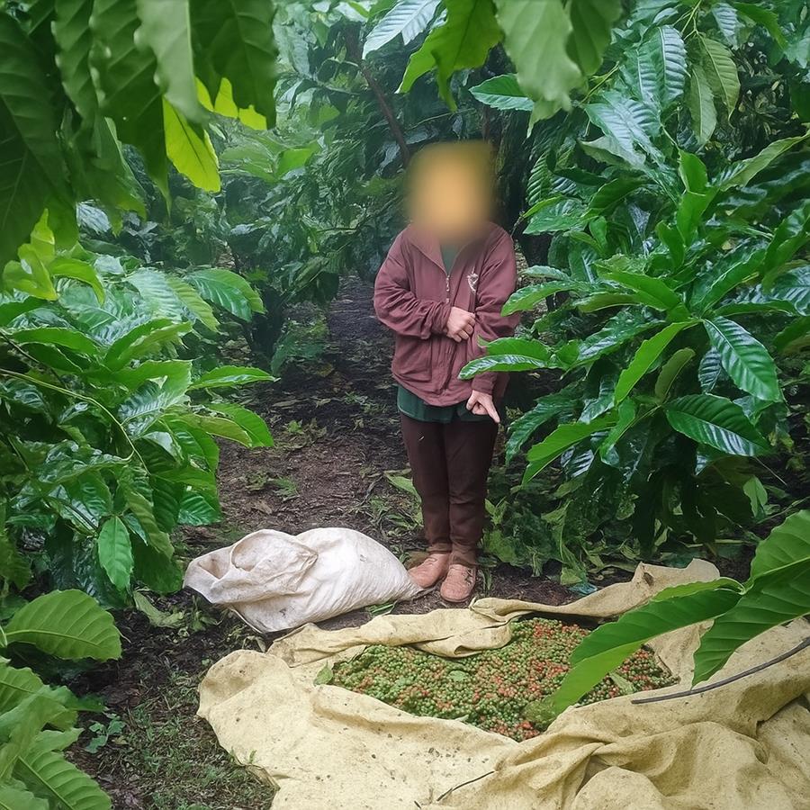 Đối tượng P.T.T.L ở hiện trường.