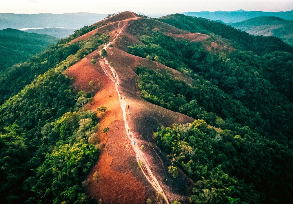 Một đoạn đường chạy dự kiến thiết kế cho Vietnam Highlands Trail 2025.