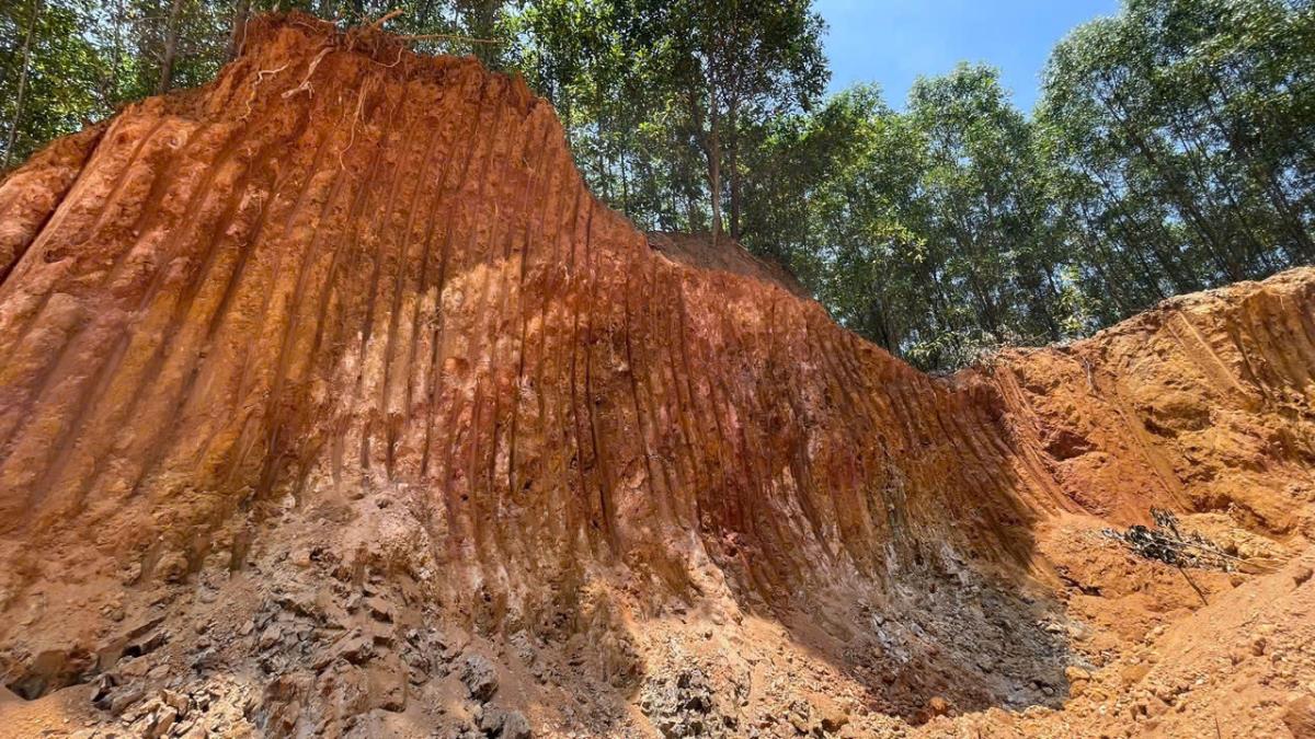 Quả đồi nằm trong rừng sản xuất của ông Nguyễn Đình T. bị múc tạo thành vách dựng đứng.