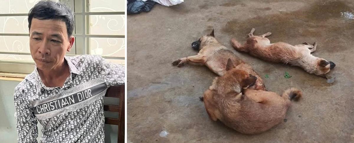 Đối tượng Phan Tân và 3 con chó tang vật trộm cắp.