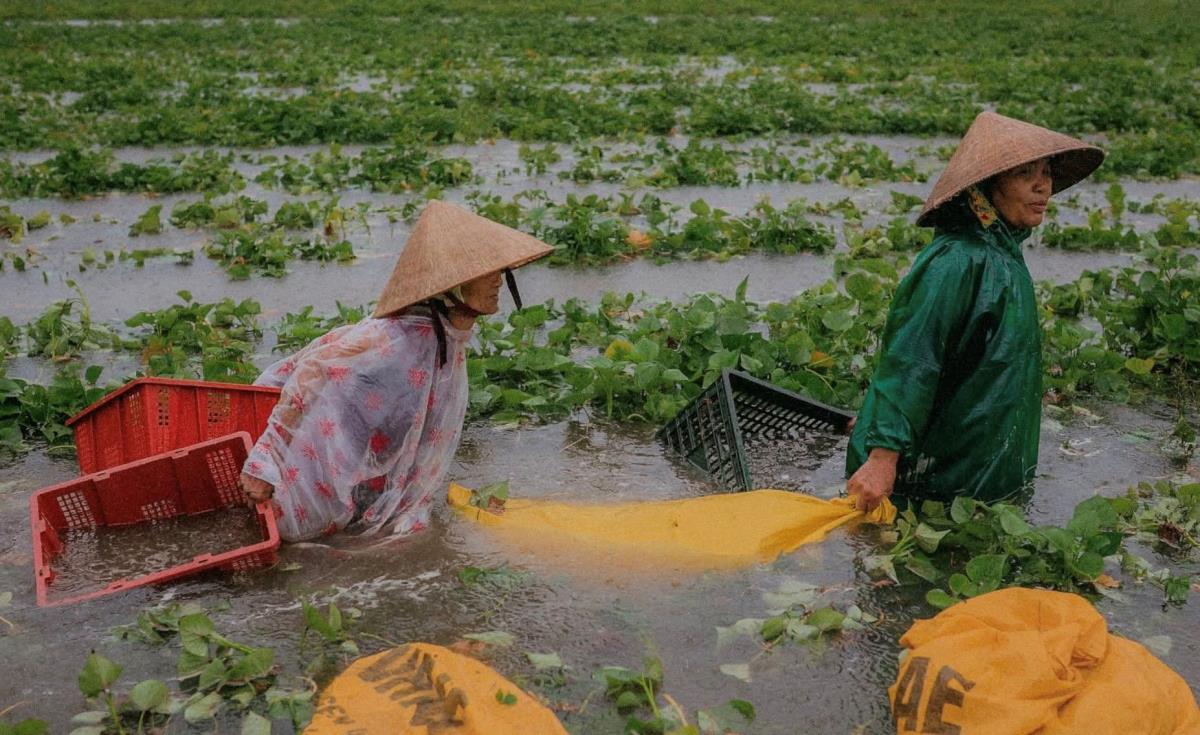 Lực lượng chức năng tỉnh Quảng Bình tìm kiếm các nạn nhân mất tích.