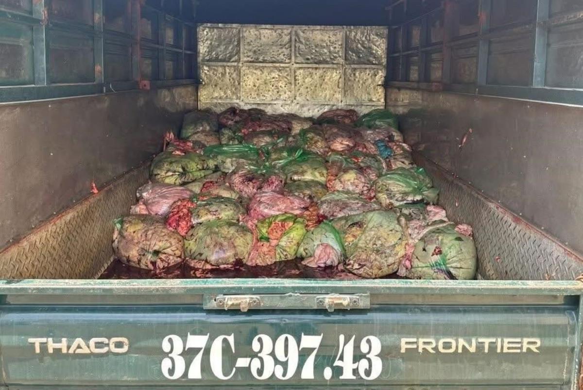 Tiêu hủy số nội tạng bẩn theo quy định pháp luật.