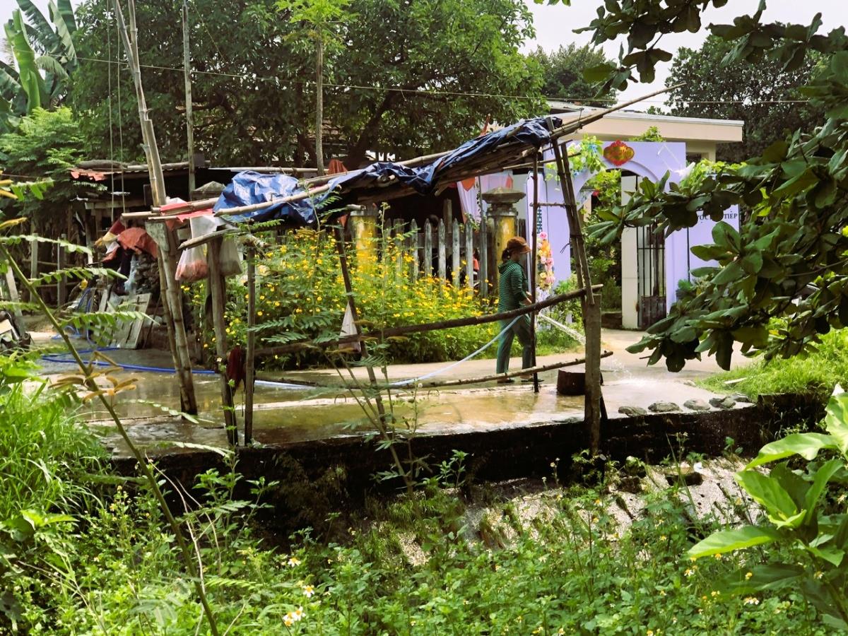 Toàn bộ chất thải tại lò mổ bò của ông X. được đổ xuống kênh thủy lợi phía trước nhà.