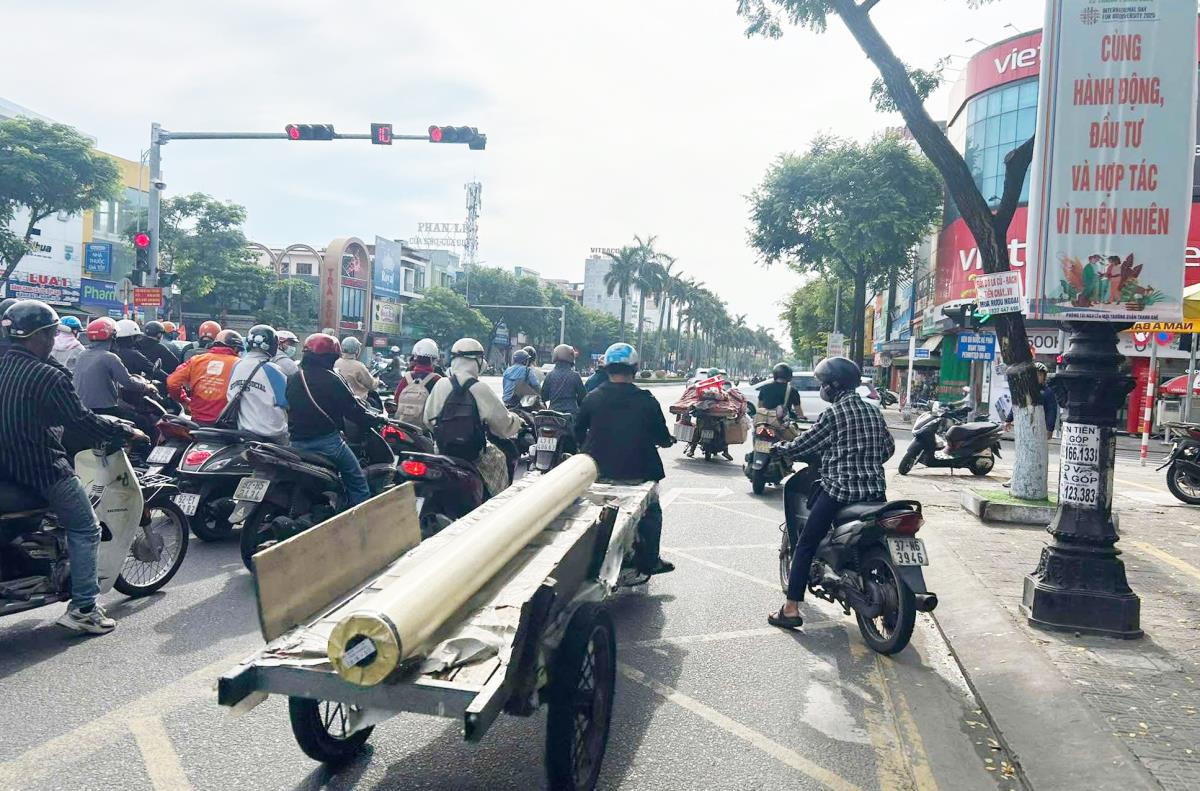 Nhiều người dừng xe trên vạch mắt võng.