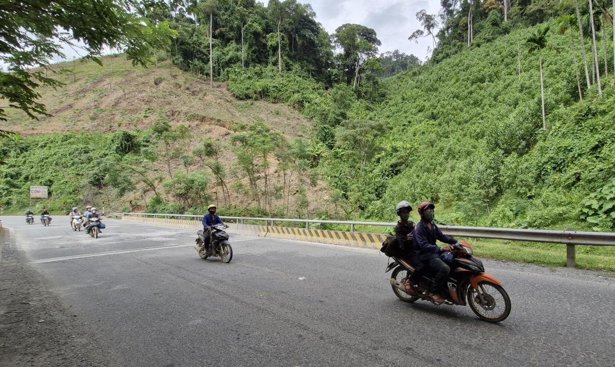 nên lực lượng quản lý, bảo vệ rừng tăng cường chốt chặn, kiểm soát.