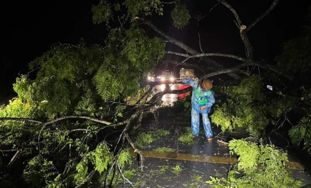 Hàng nghìn cây xanh bị gãy đổ.