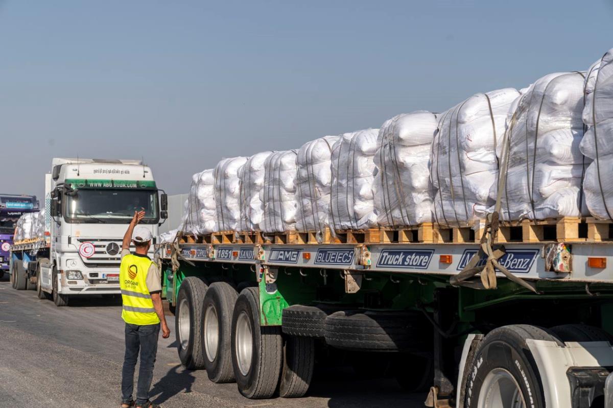 Naima Abu Ful cùng đứa con 2 tuổi bị suy dinh dưỡng của mình ở trại tị nạn Shati, Thành phố Gaza, ngày 23-7. Ảnh: AP