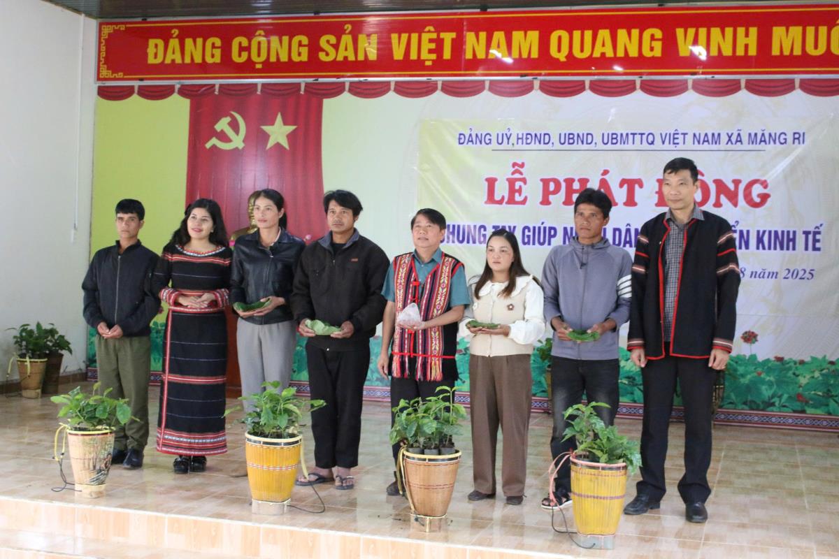 Lãnh đạo địa phương ủng hộ sâm Ngọc Linh giống cho người dân xã Măng Ri.