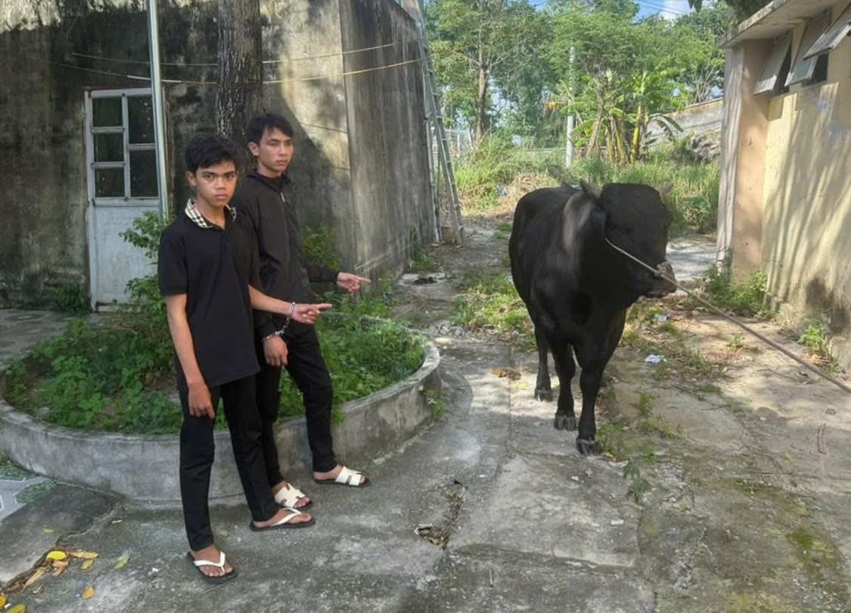 2 đối tượng trộm bò và tang vật vụ án.