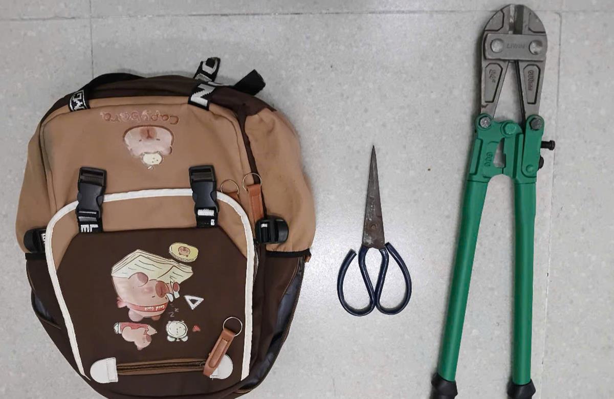 Võ Thanh H. và dụng cụ mang đi gây án.