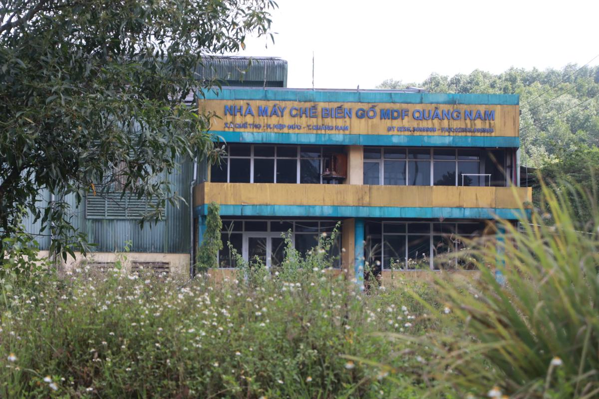 Nhiều diện tích ruộng lúa của người dân bị bồi lấp, bỏ hoang.