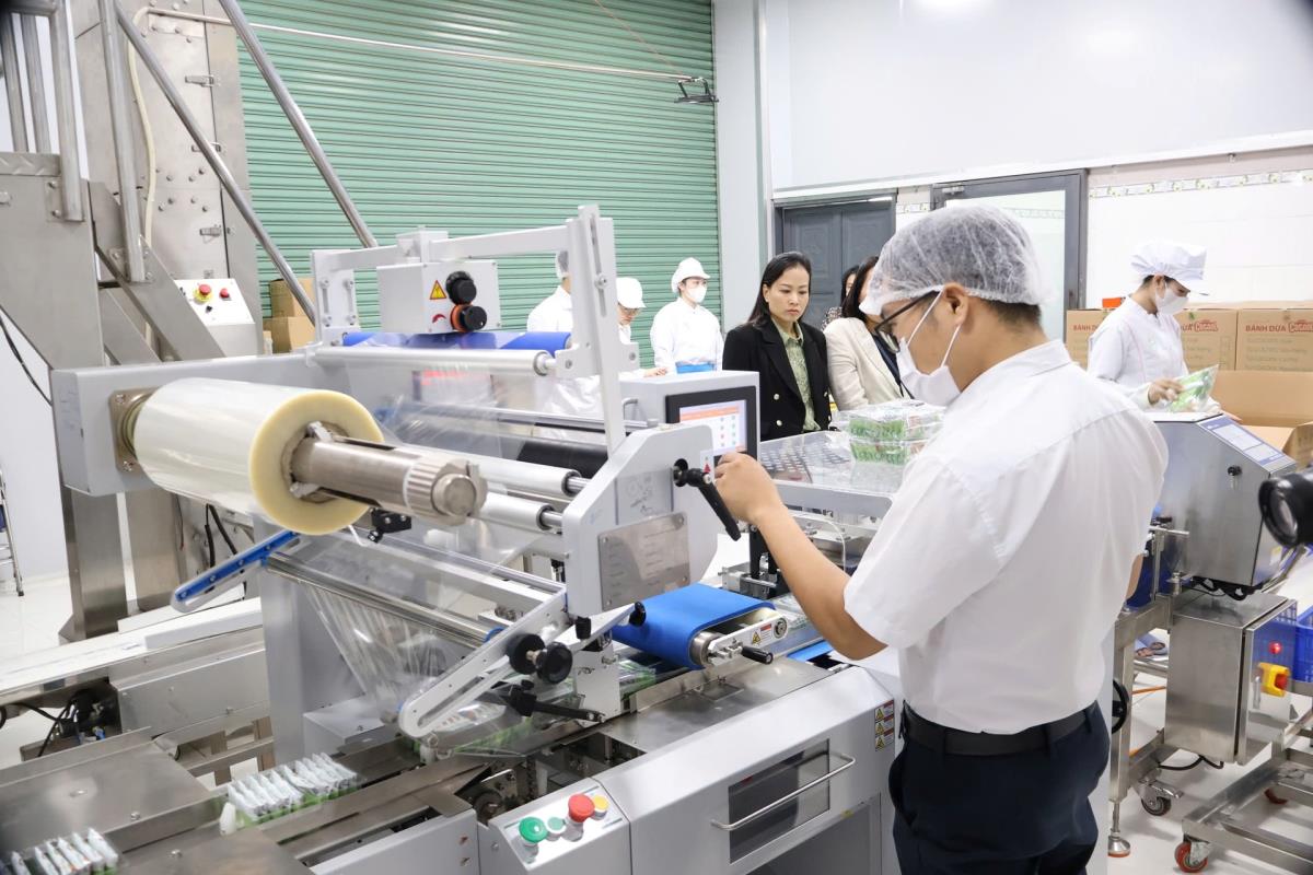 Bến cảng 50.000 tấn thuộc Cảng quốc tế Chu Lai của Tập đoàn Trường Hải- THACO.