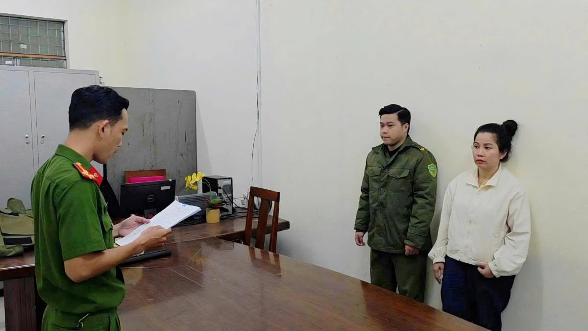 Các đối tượng trong đường dây