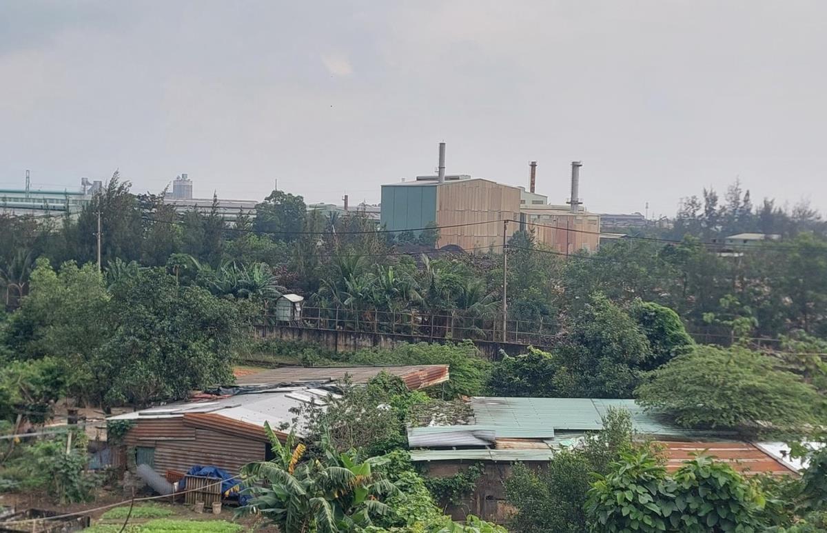 Kiểm tra kỹ, xử lý nghiêm