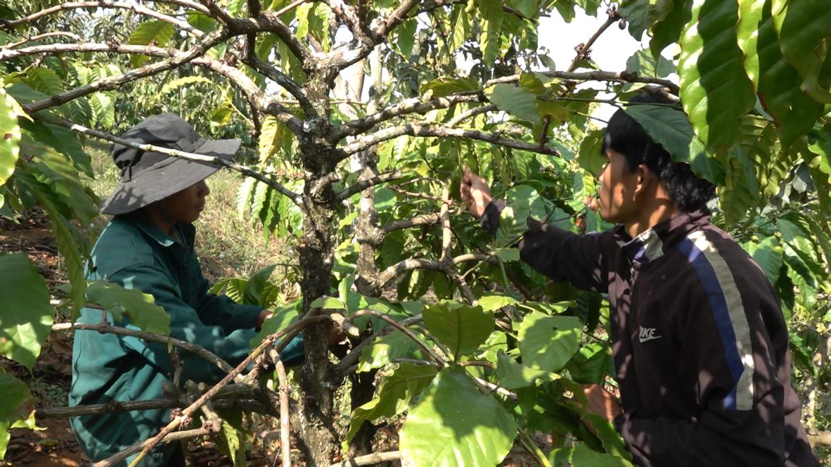 Lan tỏa tinh thần tự nguyện tham gia nghĩa vụ Công an nhân dân