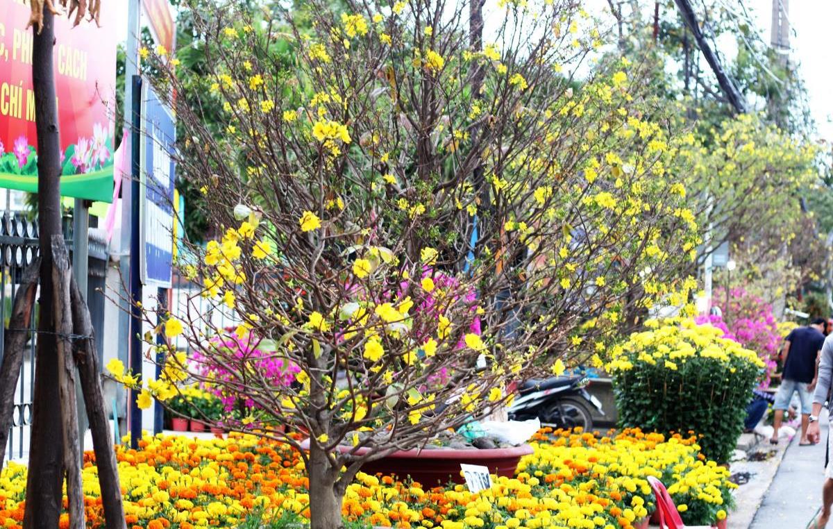 Khi mùa xuân cất tiếng đầu tiên