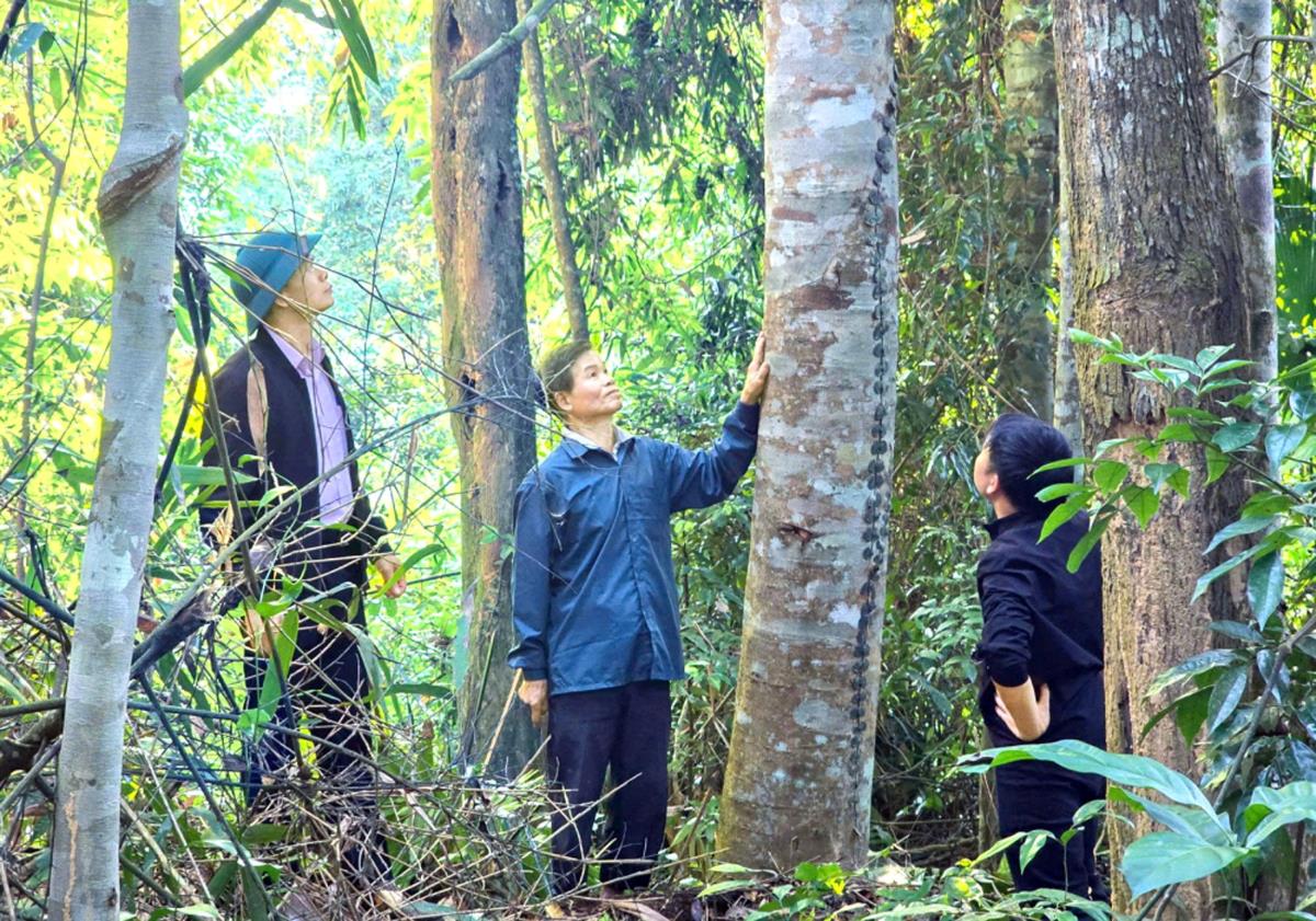 Tổ quản lý rừng bản Hốc cùng với cán bộ kiểm lâm tuần tra kiểm soát rừng.