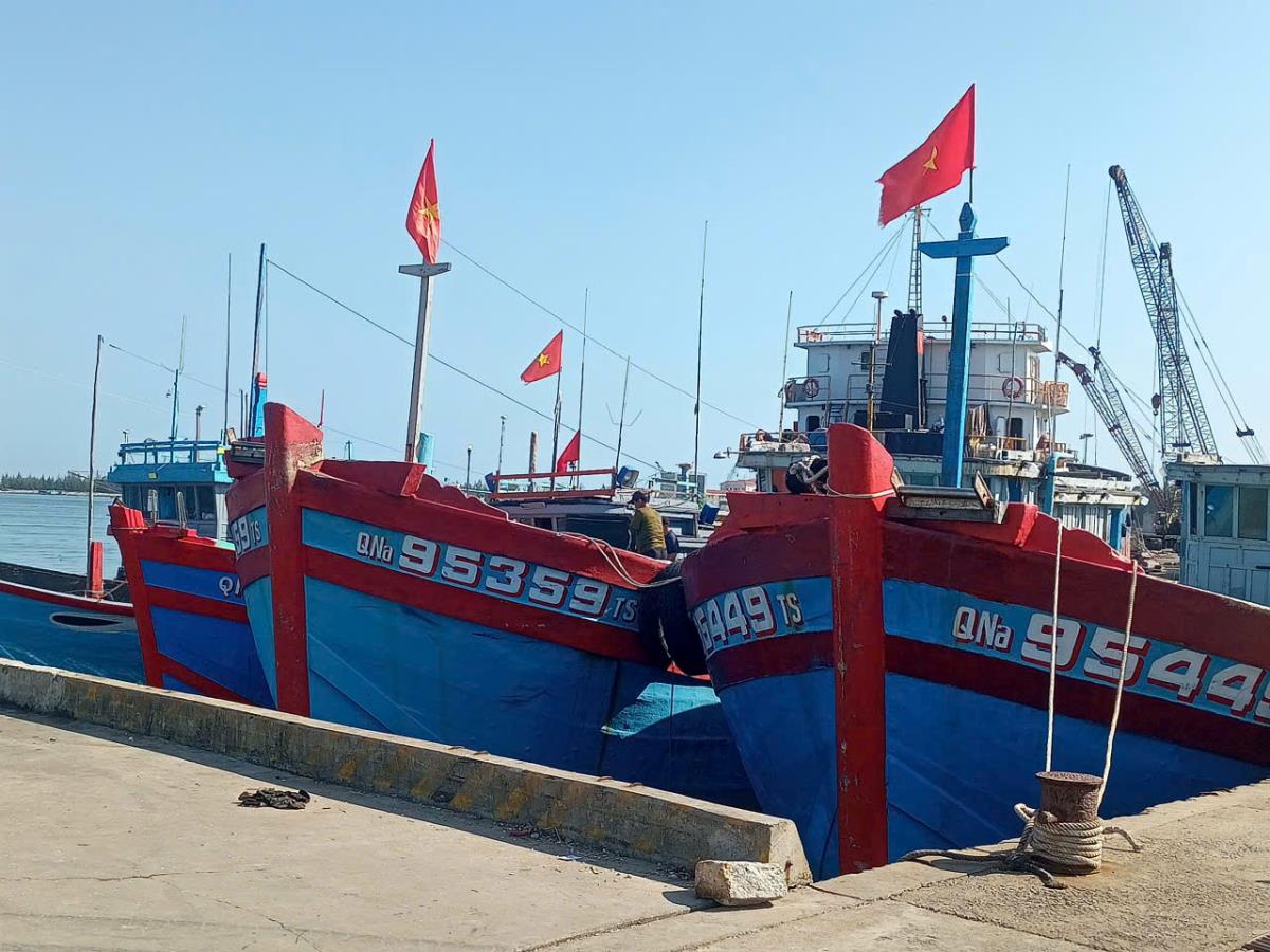 Tàu cá của ngư dân Núi Thành.