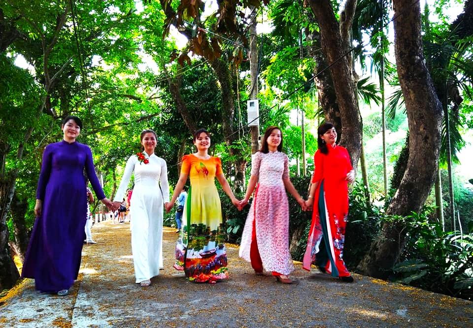 Thiếu nữ dưới hoa sưa bay.