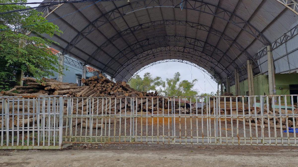 Xưởng gỗ của Công ty Hường Anh tại khối phố Thanh Chiêm 1, phường Điện Bàn.