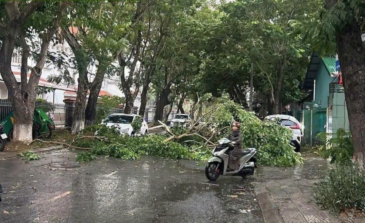 Dông lốc quét qua Huế khiến hàng chục nhà dân bị tốc mái, nhiều cây trồng bị hư hại