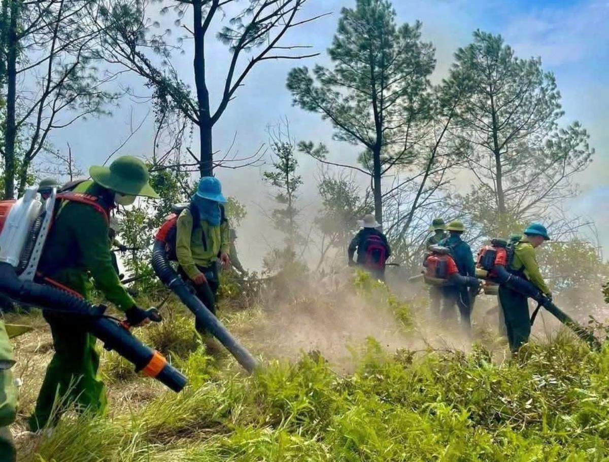 Hàng trăm người xuyên đêm nỗ lực cứu rừng