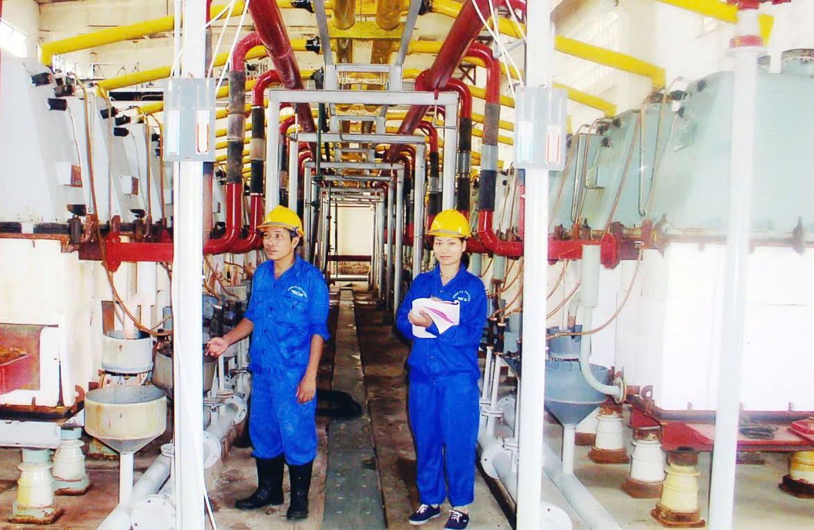 Nhiều vi phạm trong các doanh nghiệp sản xuất, kinh doanh hóa chất