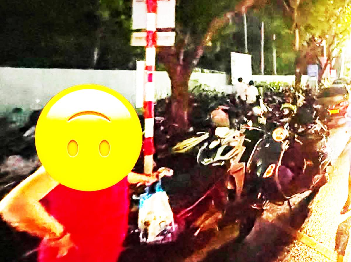 Mượn gió bẻ măng