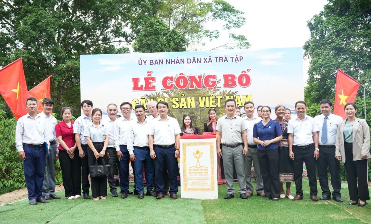 Người đồng bào thiểu số chụp hình bên cụm 3 cây đa cổ thụ tại xã Trà Tập.