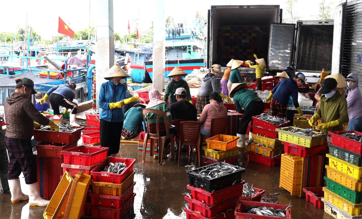 Tàu cá cập cảng bốc dỡ hải sản sau nửa tháng đánh bắt.