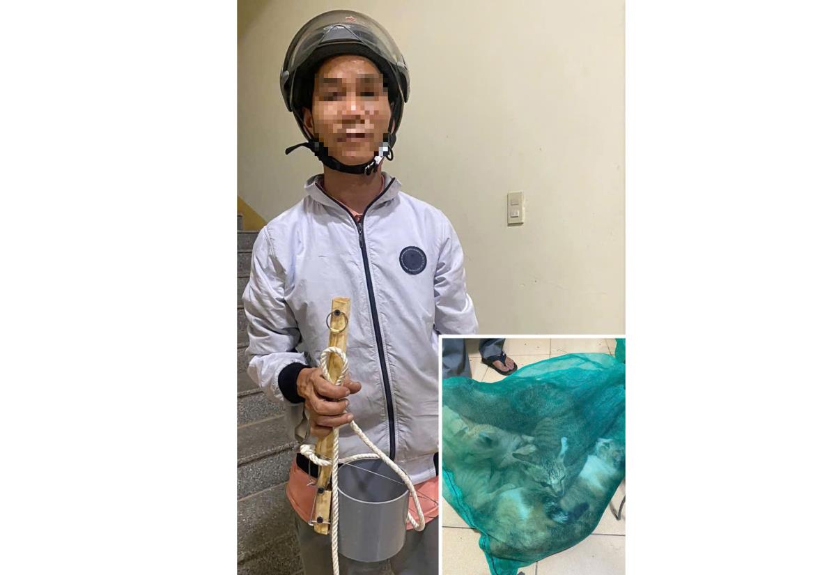 'Miêu tặc' lại tái phạm