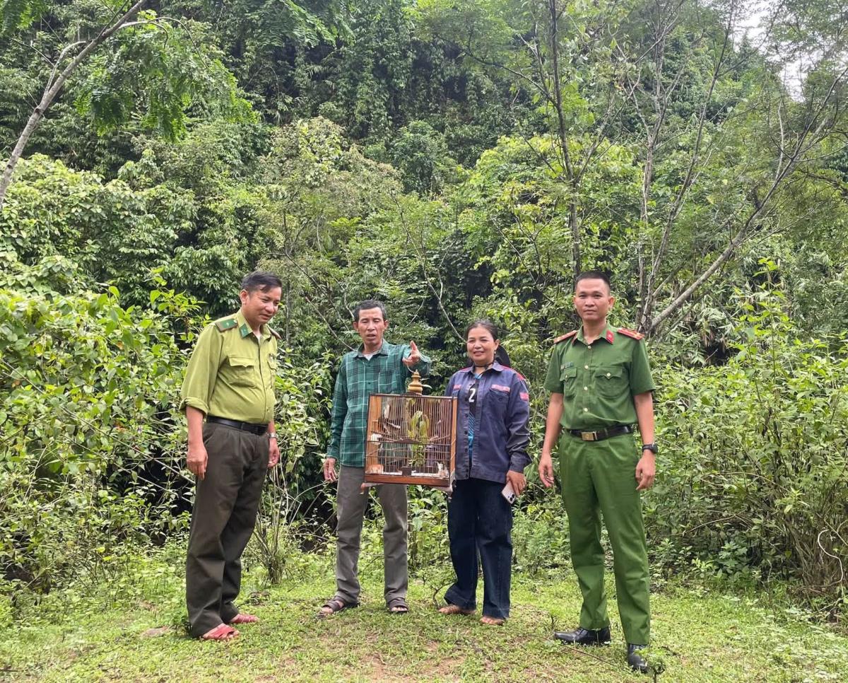 Các lực lượng và ông Ngọc thả cá thể chim về khu rừng tự nhiên.