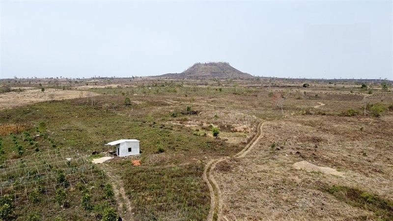 Căn nhà kiên cố và vườn cây ăn trái của bà Vượng nằm ngay trên phần đất lâm nghiệp, gần hang động núi lửa.