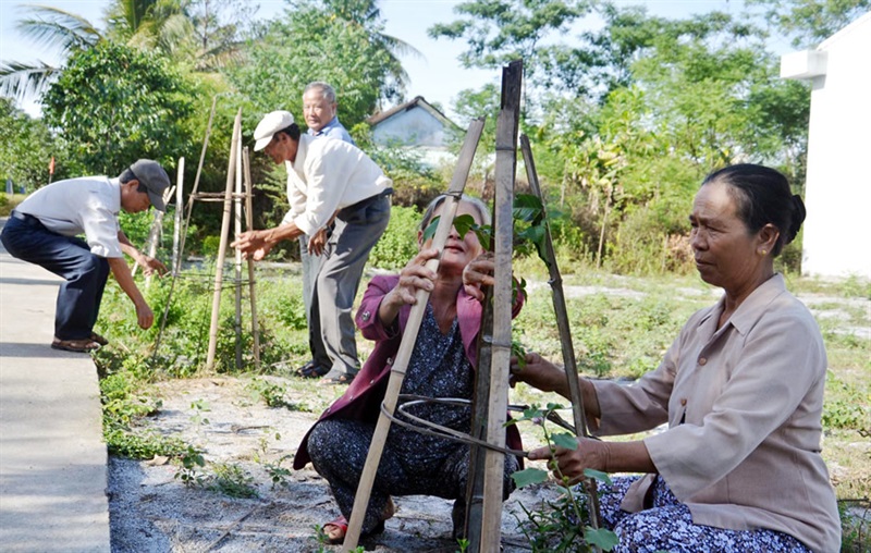 NCT thôn Phú Sơn 1 (xã Hòa Khương) trồng cây xanh, tôn tạo cảnh quan môi trường nông thôn mới.