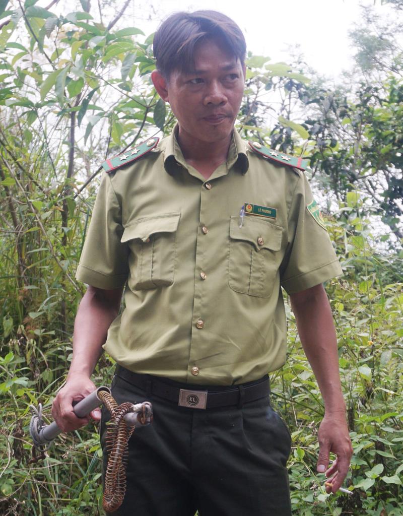 Những chiếc bẫy kẹp dùng để săn bắt động vật hoang dã trong rừng đặc dụng Sơn Trà.