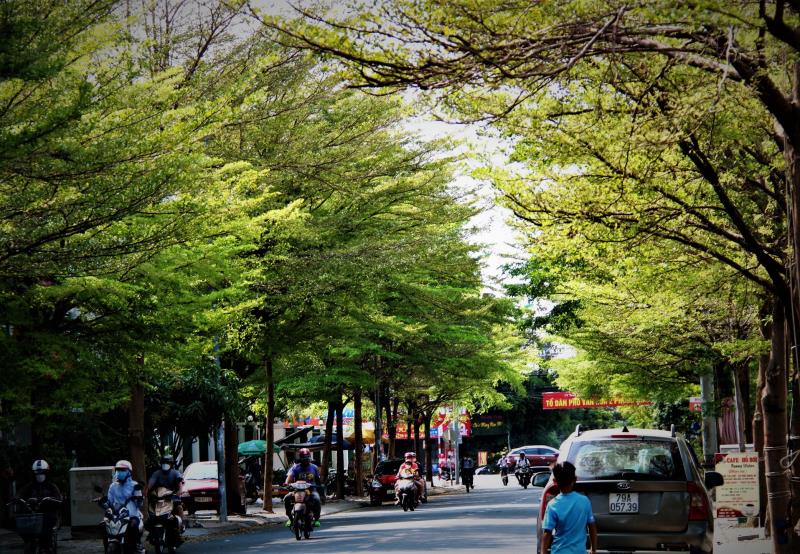 Những con đường rợp bóng cây xanh.