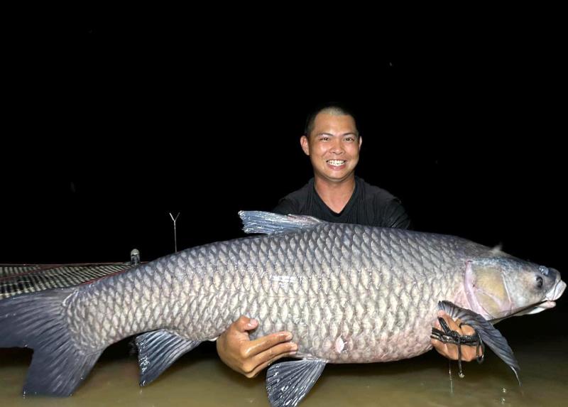Cá trắm “khủng” nặng 40kg được anh Hòa và nhóm thợ câu được trên đập Khe Là.