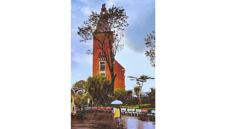Mưa rơi trên khuôn viên Trường Cao đẳng Sư phạm Đà Lạt.