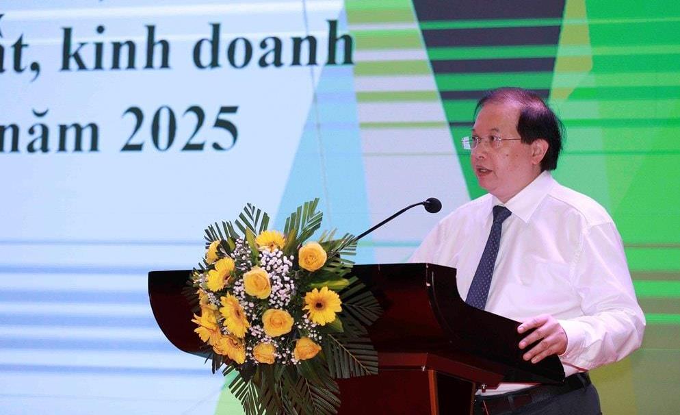 Phó Chủ tịch UBND TP Đà Nẵng Nguyễn Thị Anh Thi phát biểu tại hội nghị.