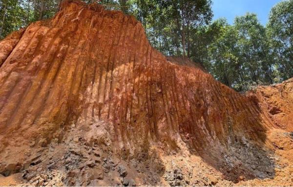 Làm rõ việc doanh nghiệp bắt tay với người dân để khai thác đất trái phép