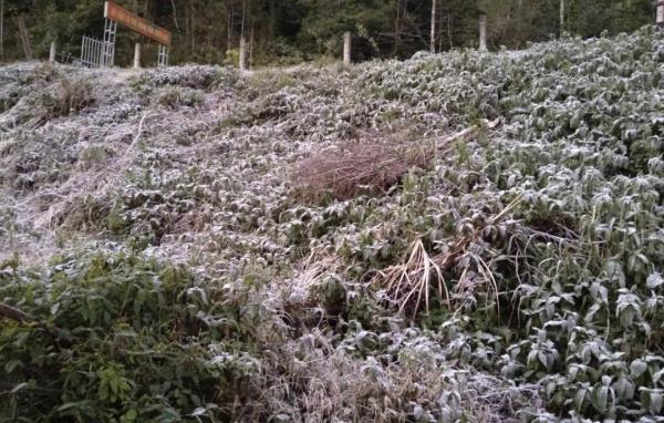 Băng giá phủ trắng vùng núi Nghệ An