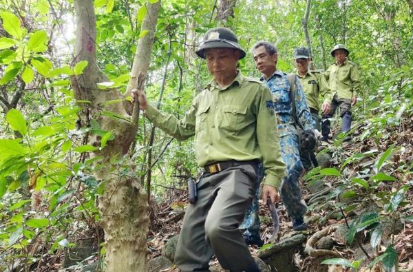 Chủ tịch UBND xã phường ở Đà Nẵng chịu trách nhiệm nếu để xảy ra cháy rừng